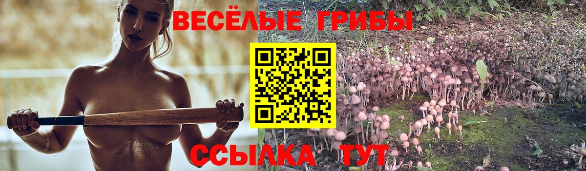 Кисловодск  Галлюциногенные грибы Cubensis  дарнет шоп  Вход с VPN 